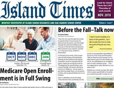 Island Times – November 2018