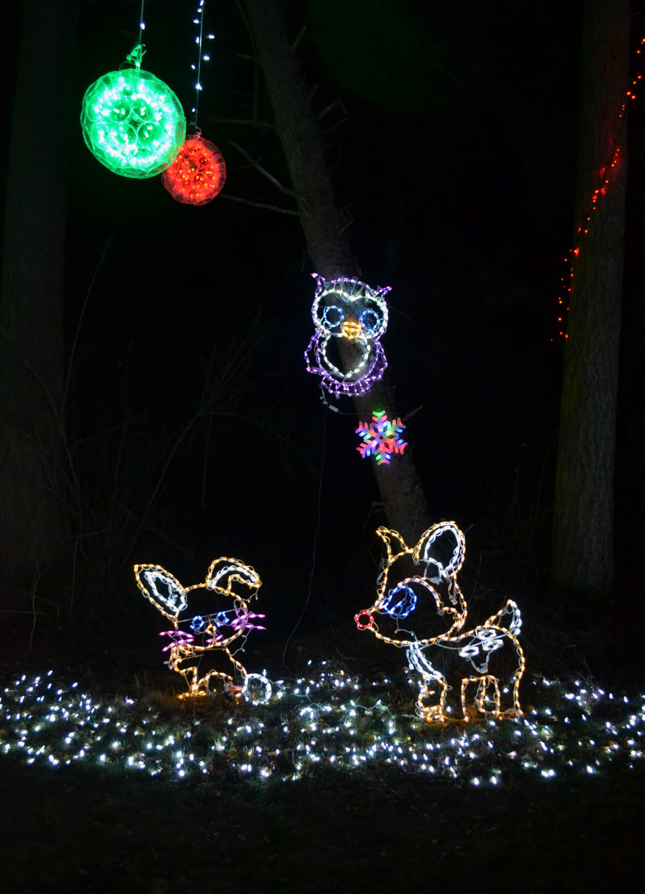 Whidbey lights up for the holidays Whidbey Weekly