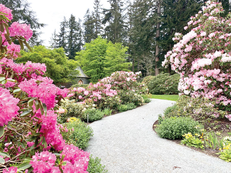 Spring blooms at Meerkerk Gardens on Whidbey Island