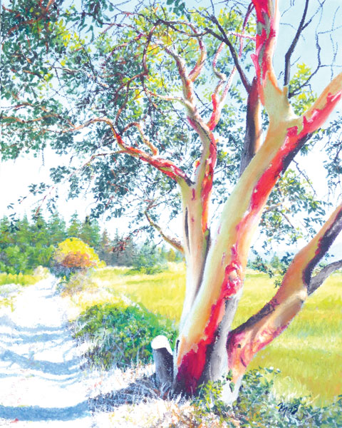 Deer Lagoon Road by Mark Skullerud