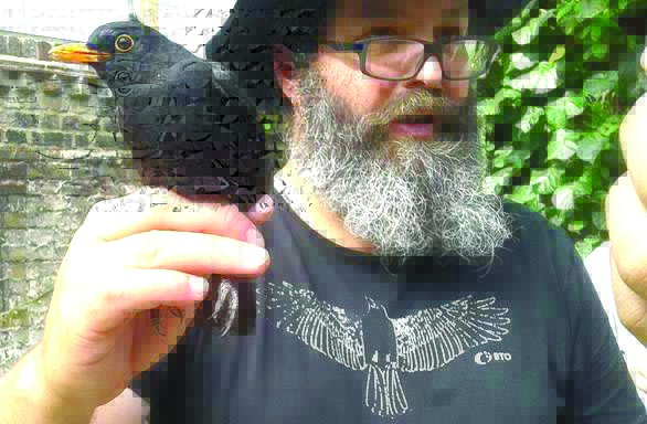 Scott Markowitz, Puget Sound Bird Observatory